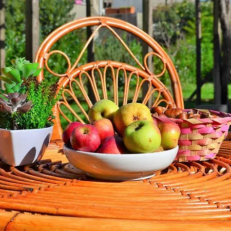Il Giardino Di Elena Bed and breakfast *
